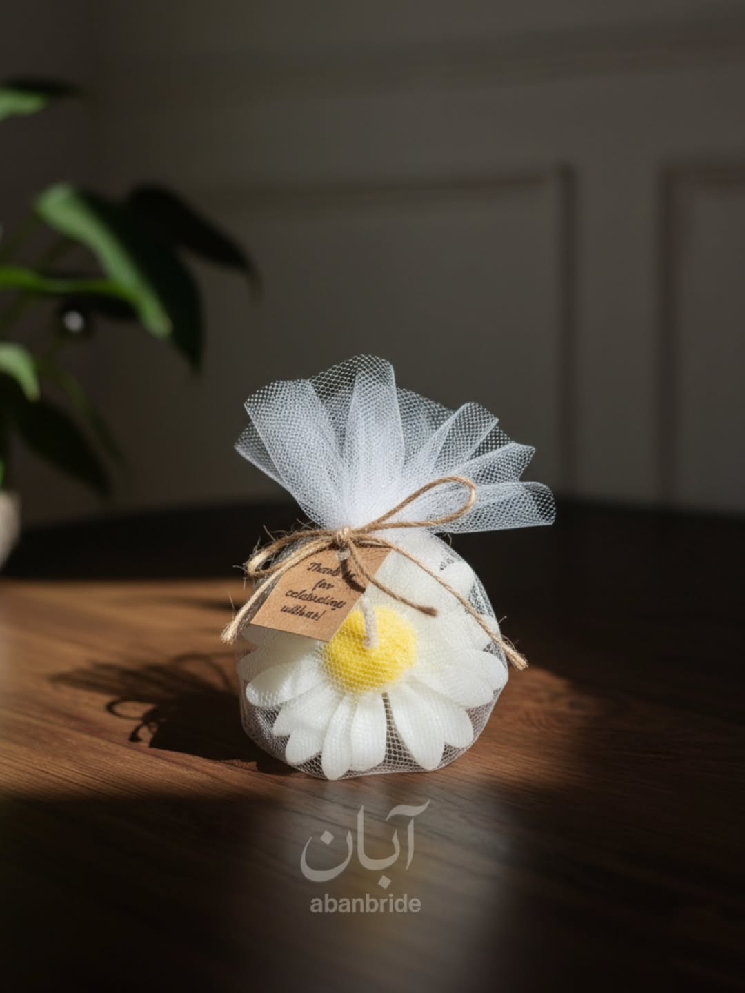 گیفت شمع گل بابونه 💕